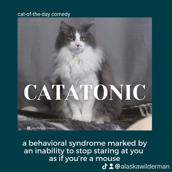 Meet your Posher, Brian - Picture 4 of 4